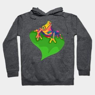 Rainbow Tree Frog Hoodie